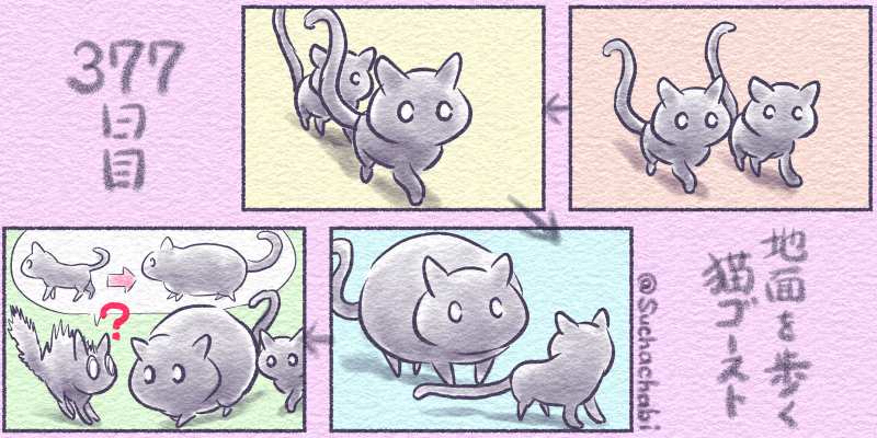 377日目 地面を歩く猫ゴースト すちゃちゃび 4コマ毎日更新の漫画