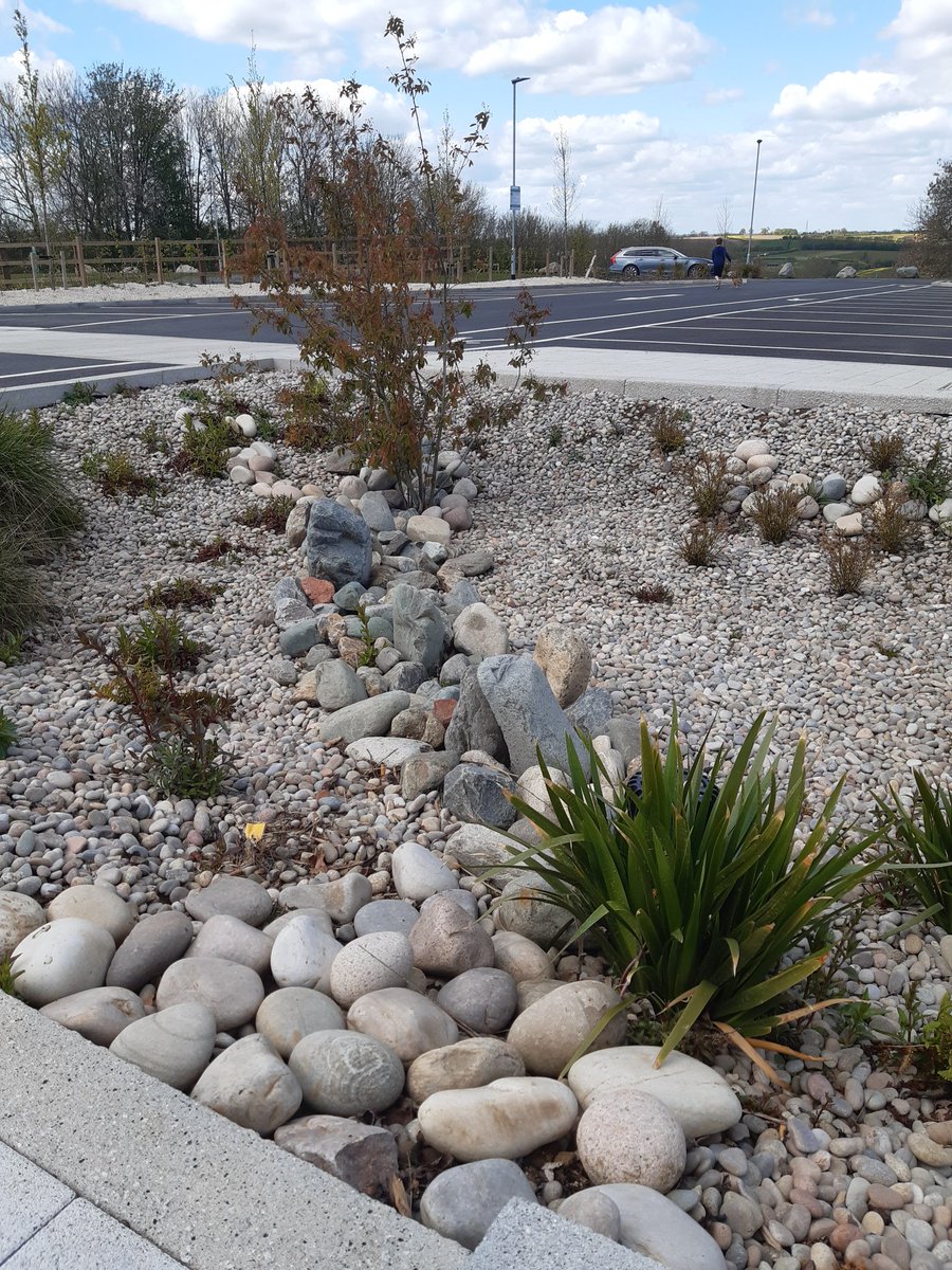 designandnature's tweet photo. For a Landscape Architect a comfort break is another CPD opportunity! New M6 services at Rugby. Good to see commitment to SuDS &amp; line of electric vehicle  charging stations but opportunity for invertebrates has been missed in raised beds at front of the building! #lanscapedesign https://t.co/KwarnpP4Bo