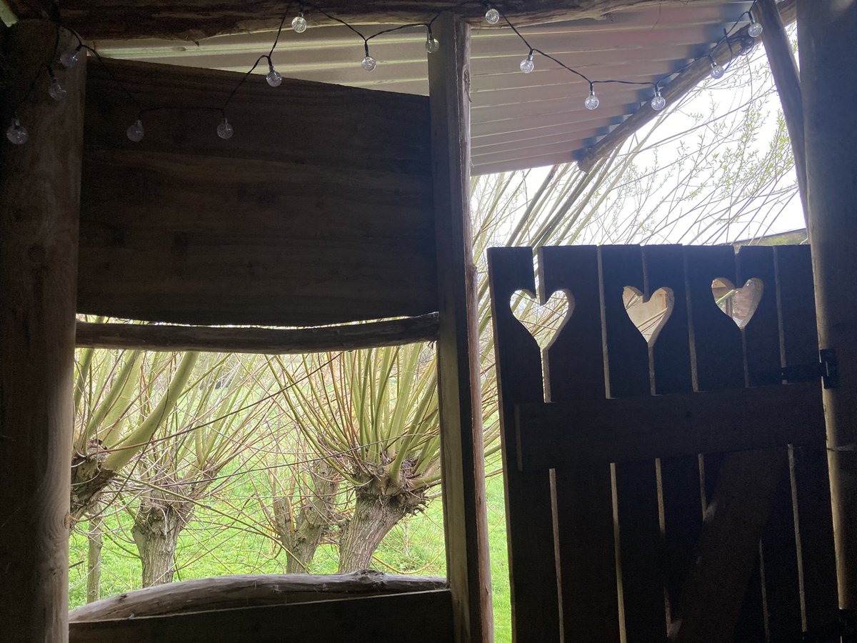 LittleEcoT's tweet photo. A rainy start to the day. Our little hut feels so peaceful with rain drops on the roof & a roaring fire. Even the #CompostLoo is charming. Freshly picked mint tea & eggs from the chickens about to be scrambled for breakfast. Thanks for the recommendation @JennyA_Rawson! https://t.co/qA7W0N3PwP
