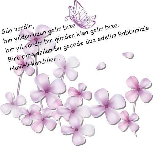 Aysun🐾🐶❤🐈 (@nusyazemnos) on Twitter photo 