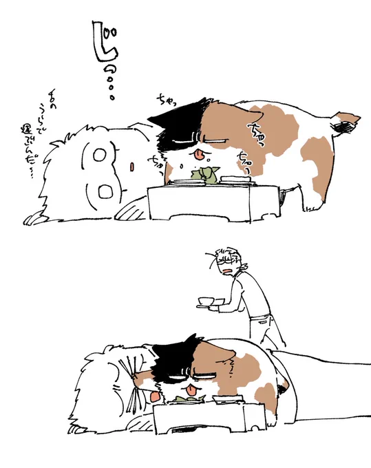 >㌧猫ちゃんが短い舌でちろちろミルクを飲む様を想像したら幸せな気持ちになったのでイマジナリー㌧猫ちゃんおすそ分けします。 #odaibako_dandyhamaki https://t.co/yZLZqRzsXb 