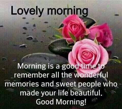 trishrawlins's tweet photo. Good morning. Happy Saturday 
#goodmorning #saturdaymorning #saturdayvibes #saturdayfeelings #saturdaymood #saturdaythoughts #weekend #weekendvibes #weekendwisdom #weekendrain https://t.co/tsTBGh4d7g