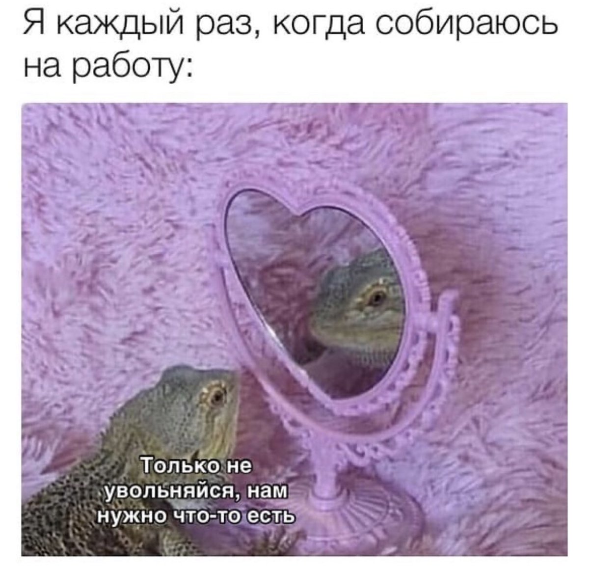 Это я каждую субботу: