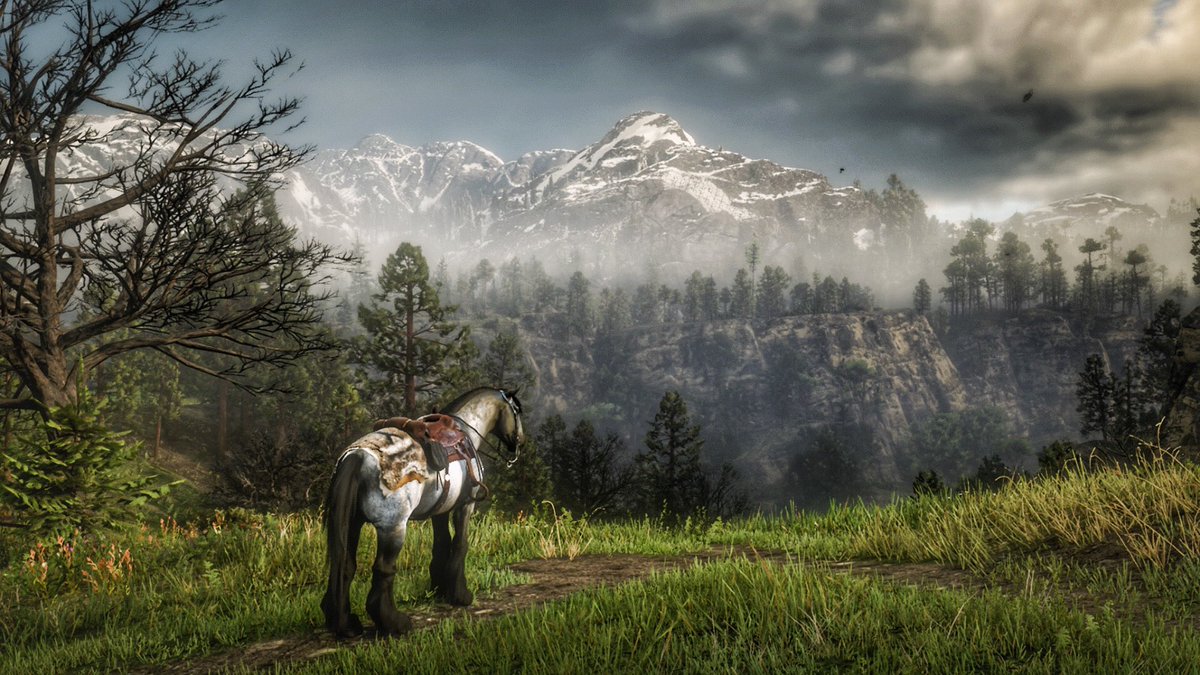 Chris25551's tweet photo. Random red dead 

Game : #RedDeadRedemption2 
Developer : @RockstarGames 
Platform : @Xbox 

#VirtualPhotography #Gametography #VGPUnite #RDR2Photomode #RDR2 #XboxShare #VPCONTEXT https://t.co/ZZZvEqqfpp