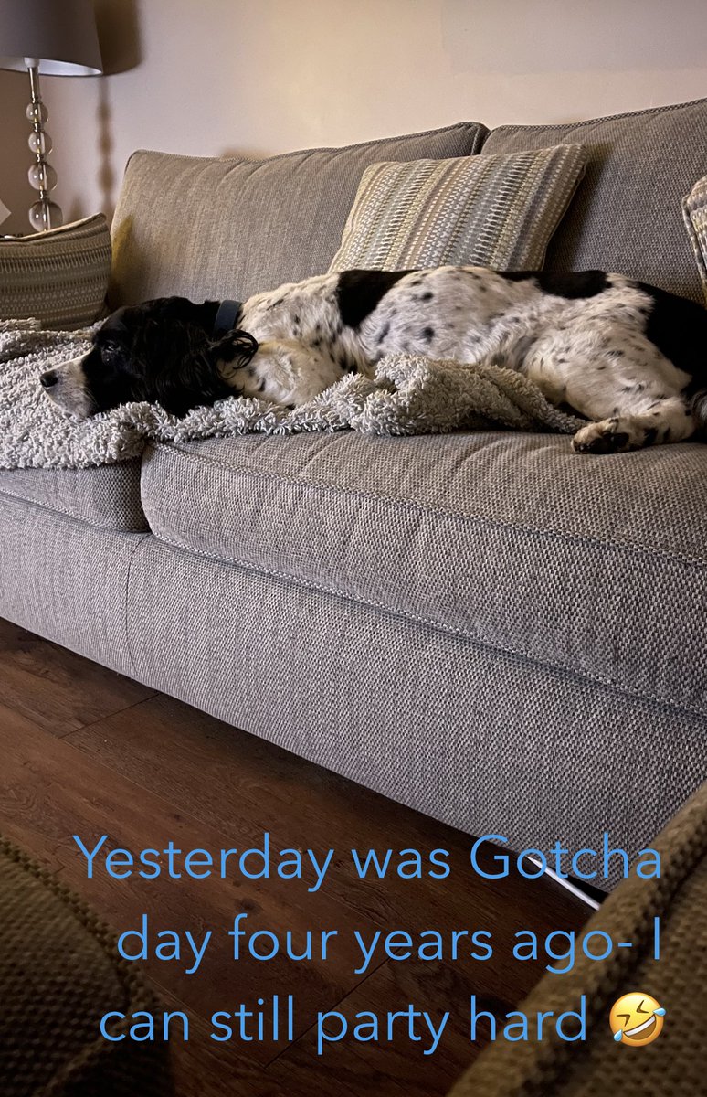 Alfie Pd Retired tweet media