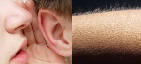 "The Giro starts today" #Giro104