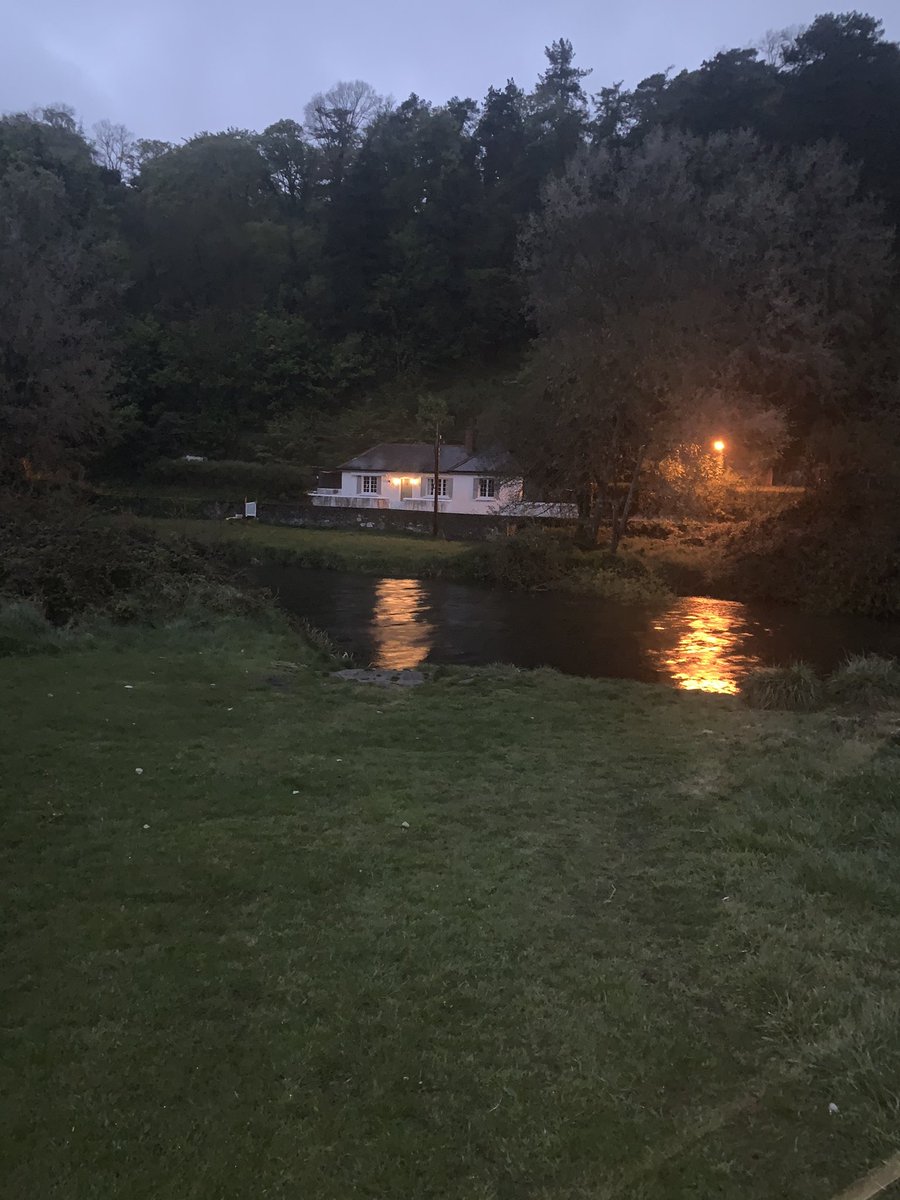 Rubex85's tweet photo. Darkness into light 2021 💛 https://t.co/xi0NZSuJME
