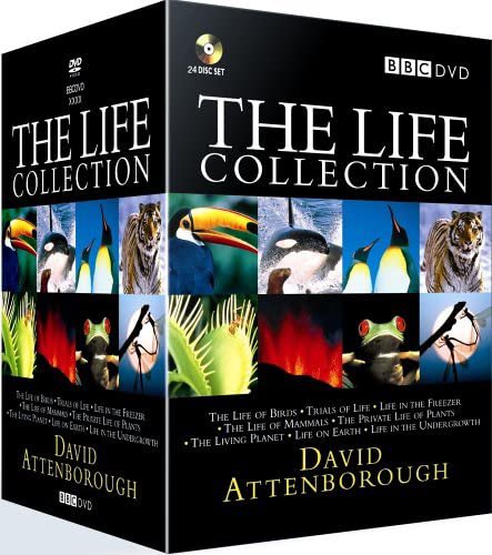 jamiek_jones's tweet photo. Happy 95th birthday #DavidAttenborough #birthday #naturalhistorian #bbcnaturalhistory @BBCEarth #broadcaster @AttenboroughSir #wildlife #naturalworld gave us glimpses around the world from your own home viewing the wonders of the animal kingdom. Thank you https://t.co/NhBpVzODmZ