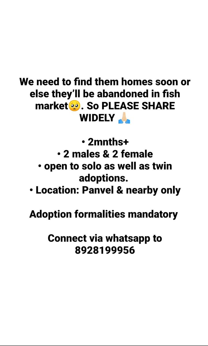 Straysofpanvel's tweet photo. 4 Adorable kittens are up for Urgent adoption🐱
.
.
#pleaseshare #Adoption #catlovers #Saveanimal #Kittens #straykittens #strays #Share #Help #adoptme #panvel #navimumbai https://t.co/i6xdAop22g