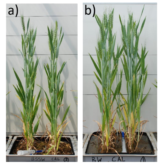MarkEHodson's tweet photo. Berdeni et al. now out https://t.co/bIGJr0iBXd

@YorkEnvironment @DBerdeni @wateratleeds @SheffieldAPS @Soil_Security @WhiteRoseUC @geojho @rggeo @Luehea @chapmanpippa 

Use of leys leads to improved soil hydrological functioning and resilience to flood damage in arable soils. https://t.co/EEotQpO8jV