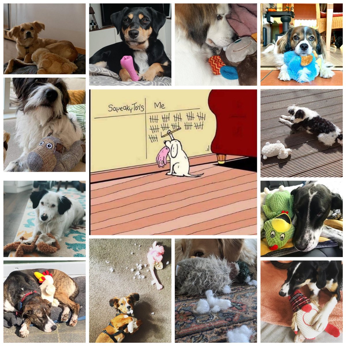 Honden en hun speelgoed.. is jouw hond een sloper of juist heel lief met zijn/haar speelgoed?
#lief #sloper 
instagram.com/p/COmju1rFgPu/…