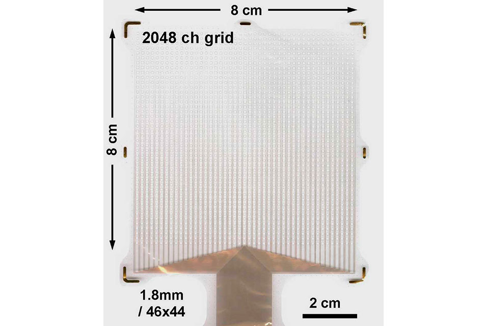 artdaily's tweet image. ArtDaily recommends:
Customized brain maps improve cancer surgeries and epilepsy treatments #brainmaps #cancersurgeries #epilepsytreatments #UniversityofCaliforniaSanDiego #science #newspaper @UCSanDiego UC San Diego

Read more about this here: ow.ly/D17p50EHxpI