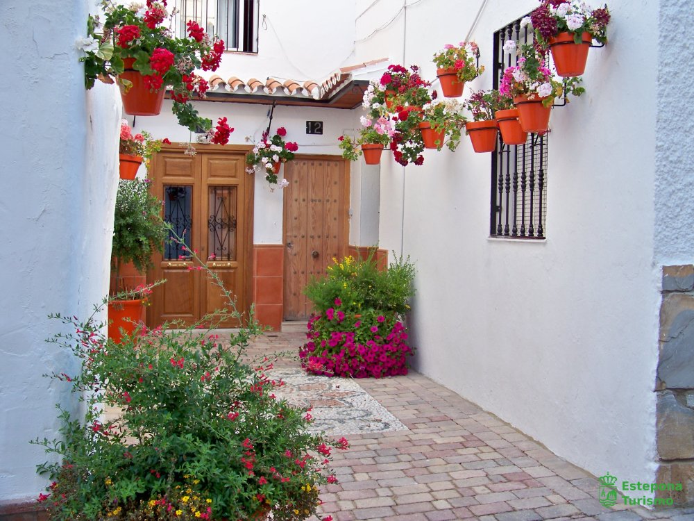 EsteponaTurAyto's tweet photo. ¿Sabes dónde se encuentra este bonito y colorido rincón de Estepona?...Adivínalo! 🤔 Do you know where this beautiful and colourful corner of Estepona is located?...Guess it!
#Estepona #CostadelSol #Andalucía #rinconeconencanto #charmingcorner #Flores #Flowers #macetas #pots https://t.co/xxoHN5CU3V