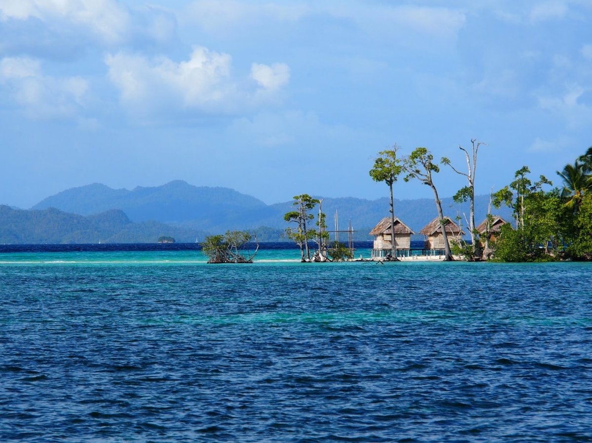 reisenEXCLUSIV's tweet photo. Wir durchqueren den Ozean auf einem der schönsten #Segelboote der Welt und nehmen euch mit in das letzte #Paradies der Erde: Die #Inselwelt von Raja Ampat. Eine Reportage zum träumen.
Foto: Marie Tysiak
https://t.co/aHeserYKAC https://t.co/QJe0qShkIT