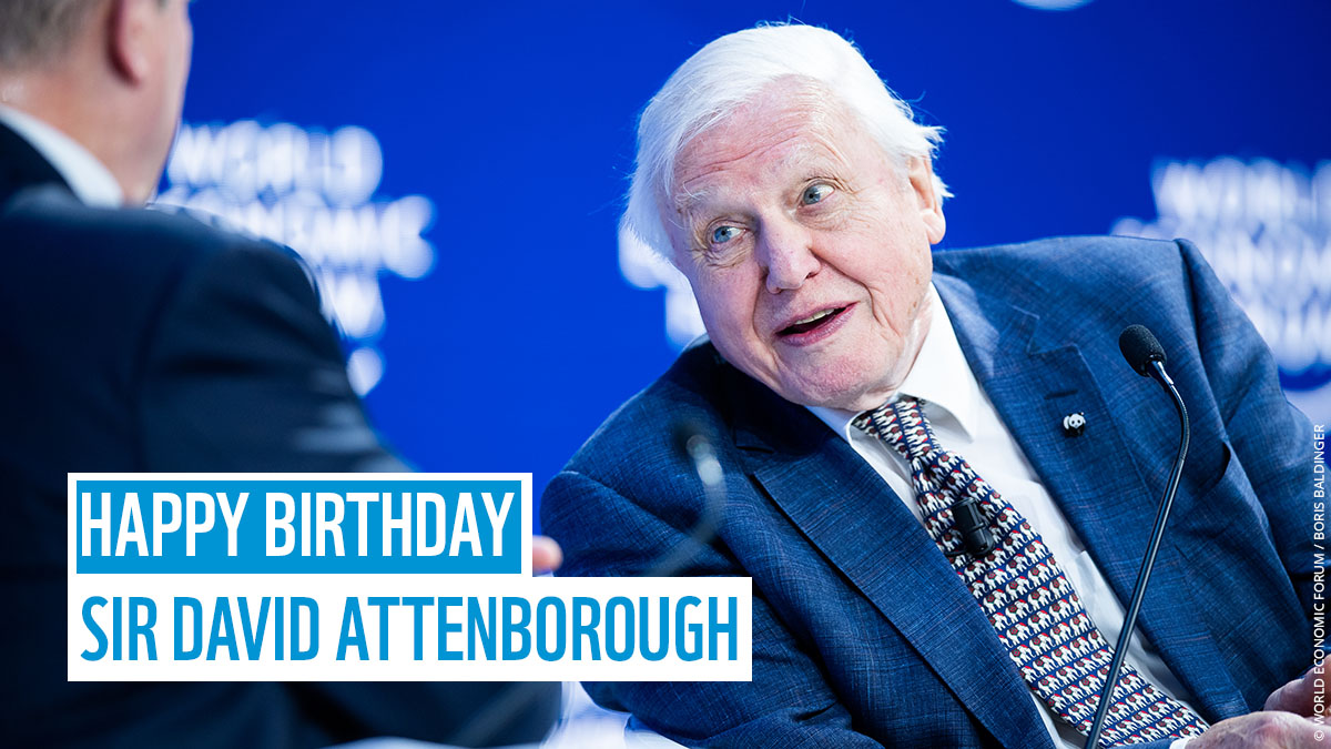 wwf_uk's tweet image. Happy Birthday #SirDavidAttenborough!
Thank you for all that you do for the planet.