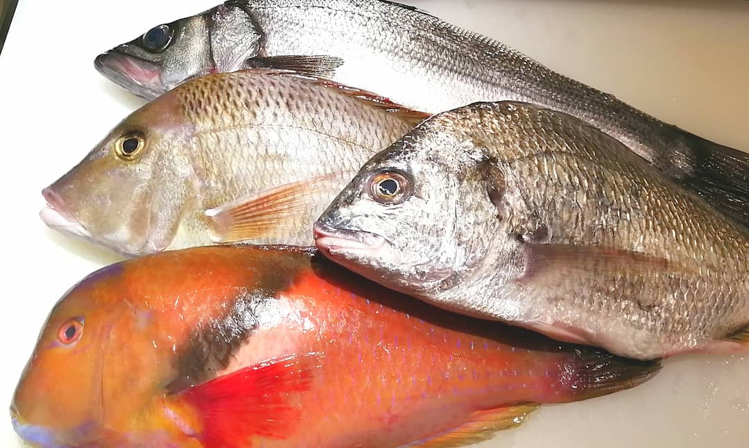 美味しい魚が食べれるお店 Twitter Search Twitter 美味しい魚が食べれるお店 Twitter Search Twitter