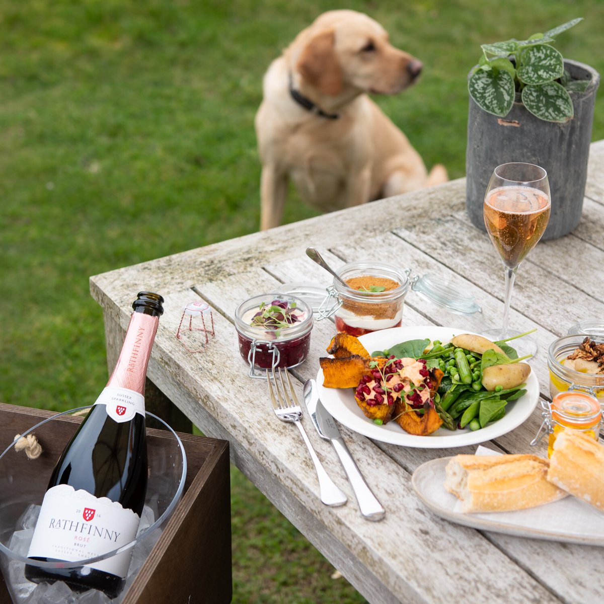 RathfinnyEstate's tweet photo. Don’t get put off by the forecast .. this rain is set to pass over by midday and then the sun ☀️ will shine... a perfect excuse to drop into your local vineyard, have a picnic and celebrate the weekend. It’s getting warmer too!! https://t.co/VeidvTRnmu