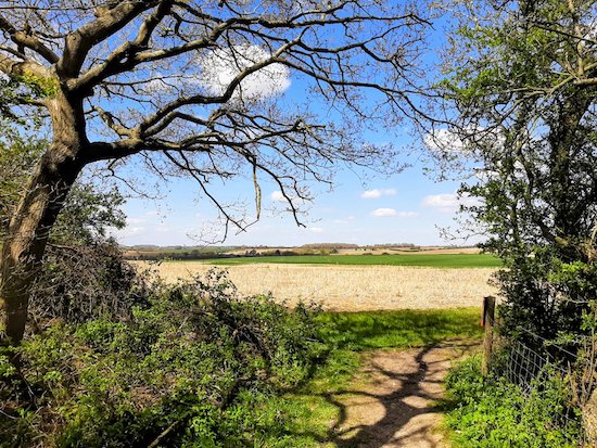 Hertfordshire Walker tweet media