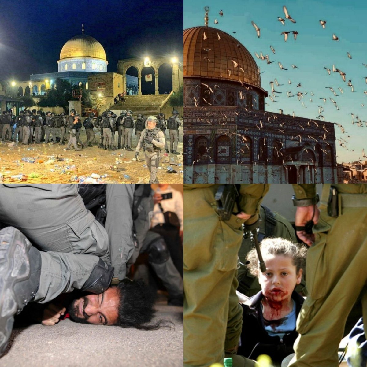 KozalakHalit's tweet photo. Siyonistler sürekli Ramazan Ayı’nda saldırıp bu mübarek ayı İslam âlemine zehir ediyor. Bu bir tesadüf değil, İslam âlemine bir hakaret ve meydan okumadır.  
Ne yazık ki İslam Ümmetinin halifesiz ve başsız, ayrıca tefrika içinde olmasının faturasını çok ağır ödüyoruz
#MescidiAksa https://t.co/njALcjq3YT