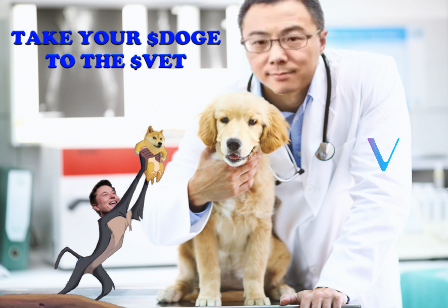 $VET

TAKE YOUR $DOGE TO THE $VET

RT IF YOU AGREE.

You want the best for your $DOGE right? 

Dr Sunny will make sure your $DOGE is in great condition. Your $DOGE health certificate will be verified on the #VeChainThor #blockchain.