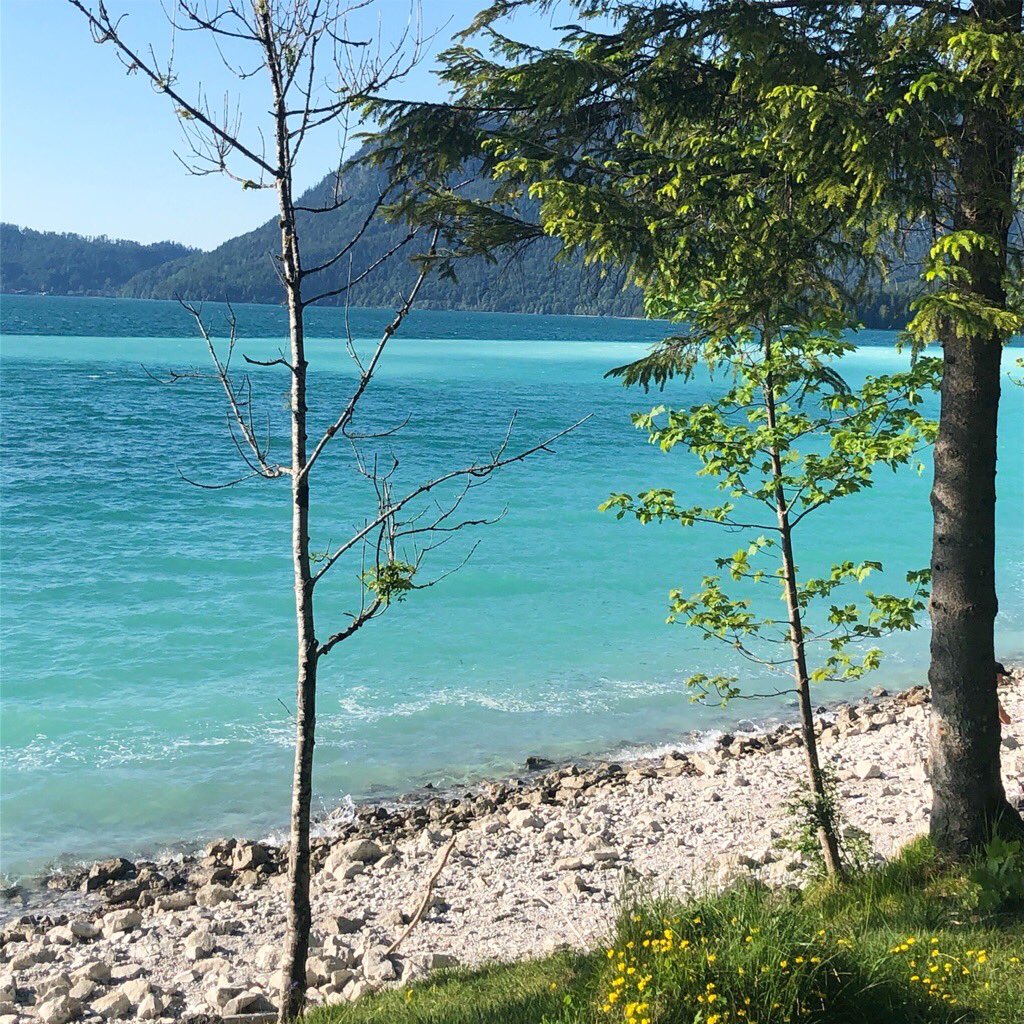 hiddentraces's tweet photo. Auf in die Natur, München! Ein Picknick mit Freunden oder Familie bei dem Traumwetter dieses Wochenende ist Lebensgenuss pur...Ob See, Fluss oder Wiese, hier teilen wir unsere allerliebsten Picknickplätze in der Münchner Region.
https://t.co/JYH6IRiK6n
#München #Bayern https://t.co/OF1uL0zCzY