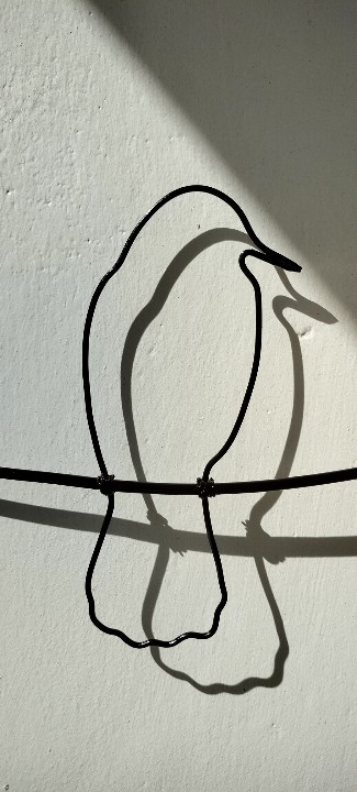 Eddykimani's tweet photo. "Little Birdie On the Line"
30In Wide by 23In High. 1In Deep.
Frame - Mvule Wood
5,500 Ksh.
Wire Trees by Eddy - 0727934272
#wiredance #wiretherapy
#handmadekenya #homedecorkenya #officedecorkenya #wireart
#wiretreesculpturep https://t.co/TyPWdvoTuD