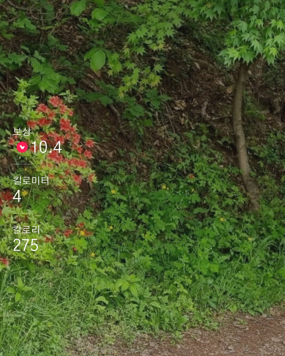 Sharing is caring!: lymporun.page.link/A6NxD