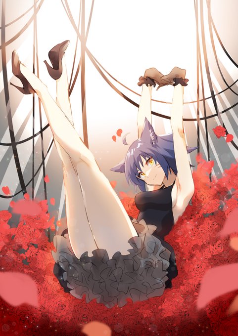 アキサカ生誕祭 