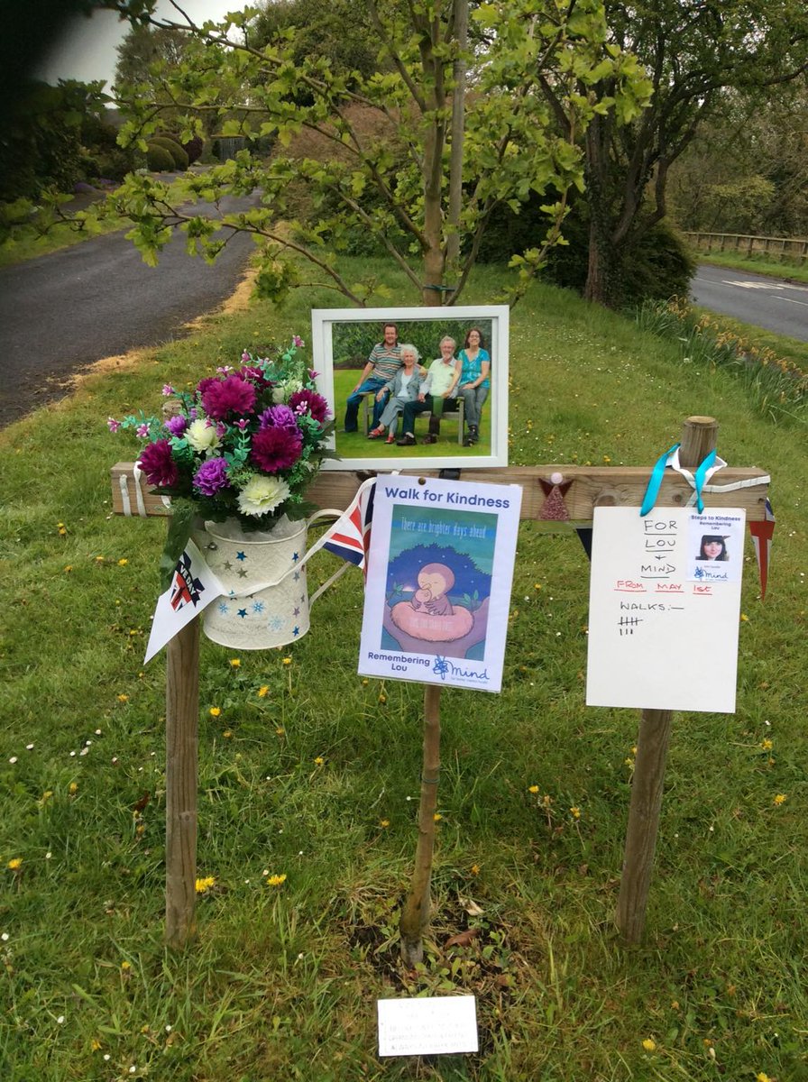 Ross McIntosh (he/him) 💙 tweet media