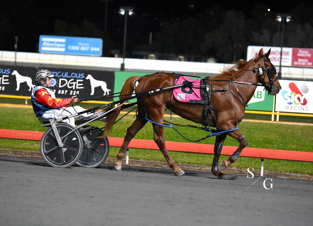 photographybysg's tweet photo. Up close &amp; personal with 'Nimah Franco NZ' - the winner of race 4 at @TheCreekAlbion https://t.co/svdcB4U2cT