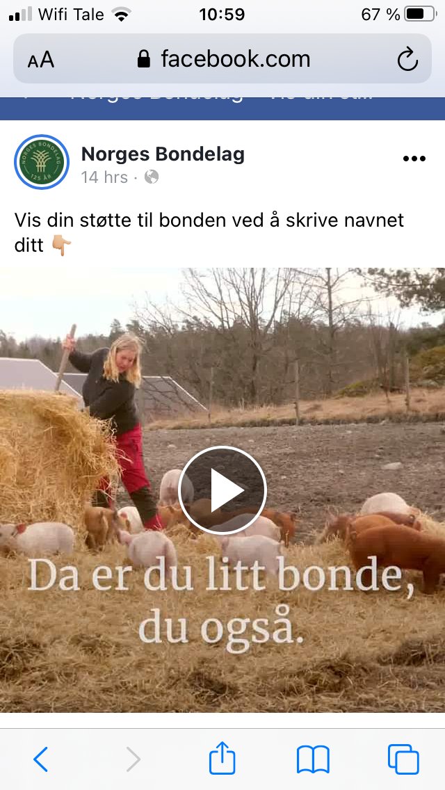 Hei, <a href="/NorgesBondelag/">Norges Bondelag</a>, artig at dere bruker utegris i denne videoen, når under 1 % av norske griser i dag får komme ut. Hvilke forslag fremmer dere i årets forhandlinger for å øke denne andelen? 🙃🐷 Kan ikke huske at dere har støttet dette tidligere, tvert imot #dyrevelferd