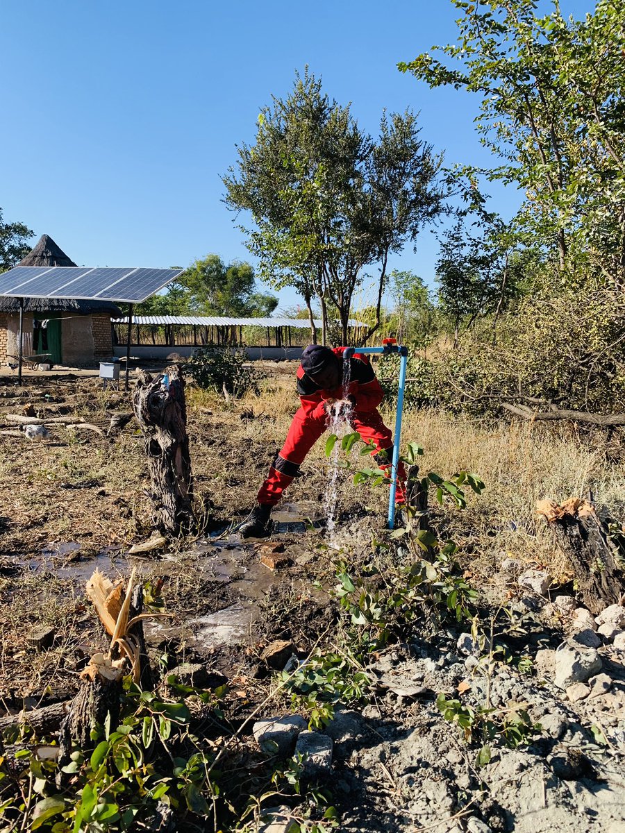 terrymap1's tweet image. 🥂 to the first drops😭