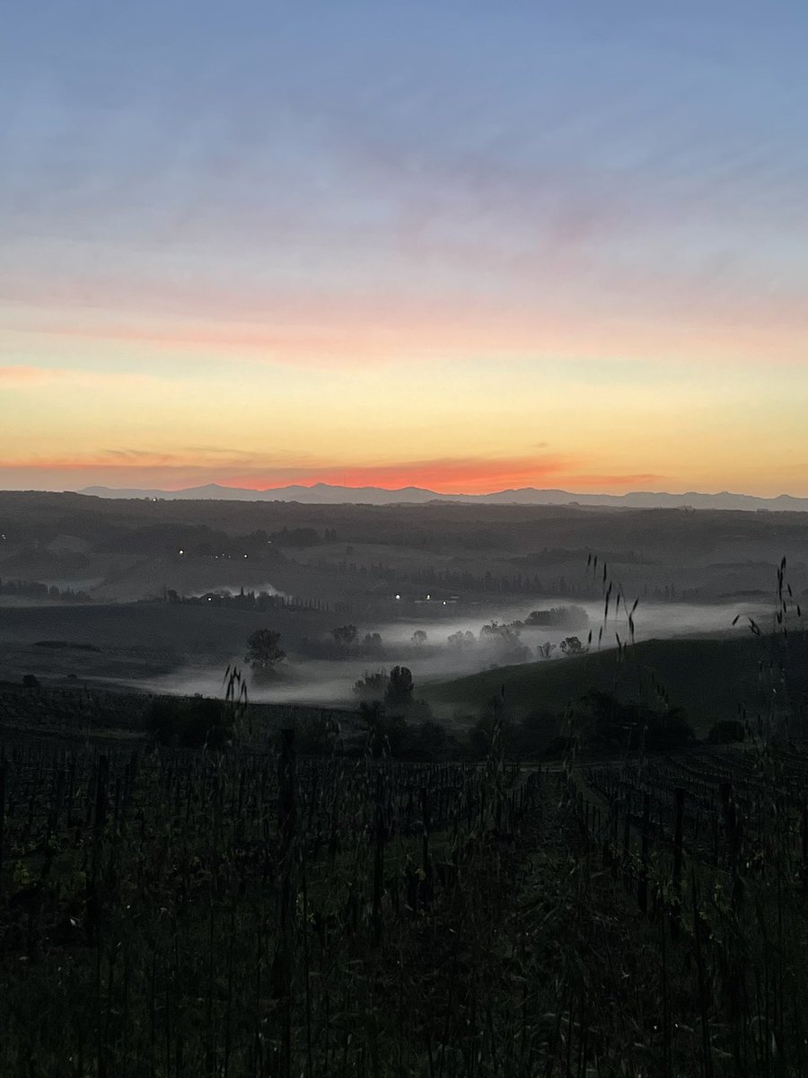 IlCasta's tweet photo. Red Sunshine 🍃🌄 #Tuscany #sunshine #Siena https://t.co/X7ZHxRE7TE