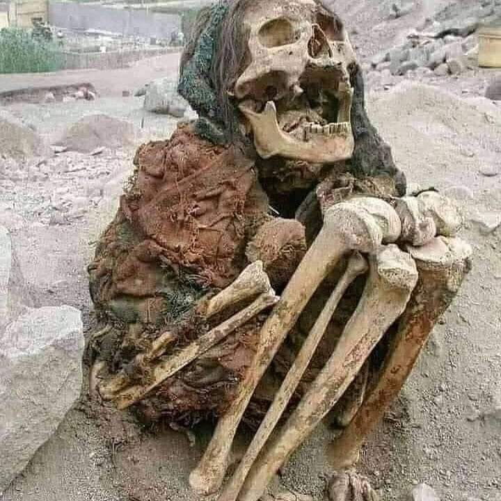 mahmuree_chp's tweet image. Madem 20 li yaş furyası bitti
Ben 20 yıl sonraki halimi paylaşayım bari
Farkımız olsun..!😁😆.