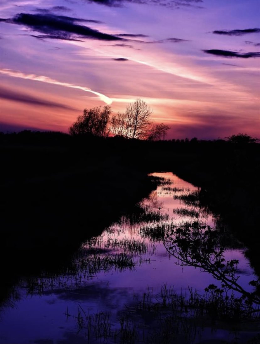 Sharon J Porter tweet media