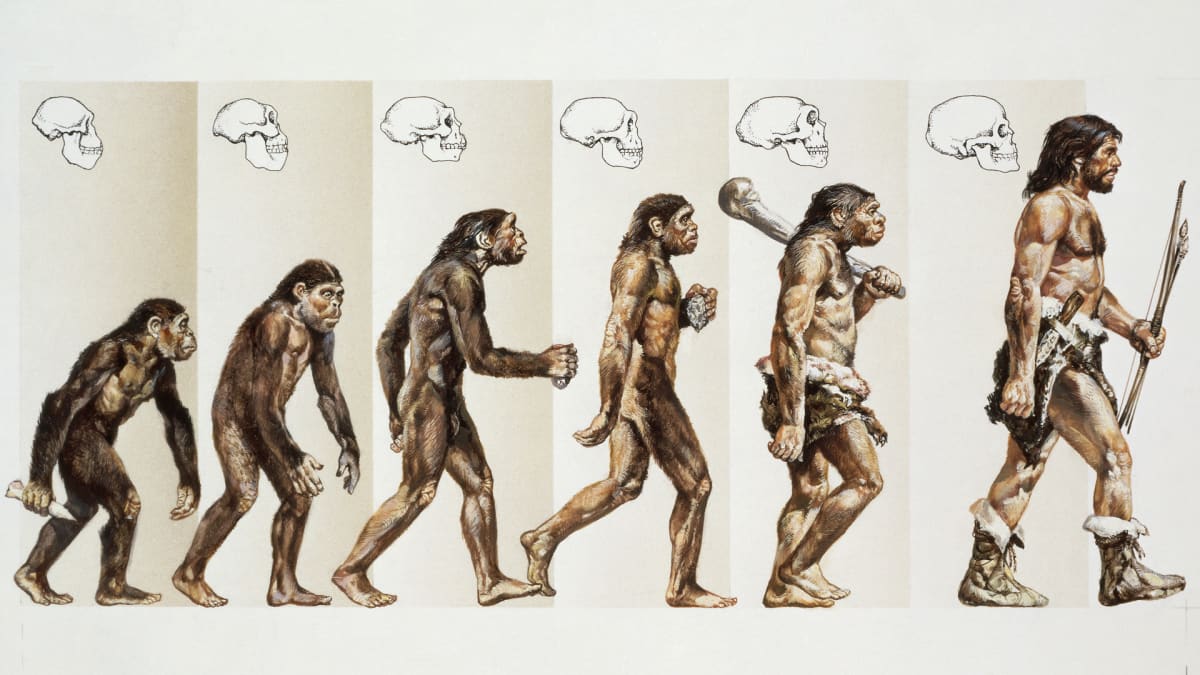 I saw a post about evolution that seemed to embody a popular misconception about evolution. Particularly, the question was asked "Why Monkeys Are No More Evolving To Humans?".I'll try to explain Evolution as best I can in this thread. I'll start with the COVID 19 as an example.