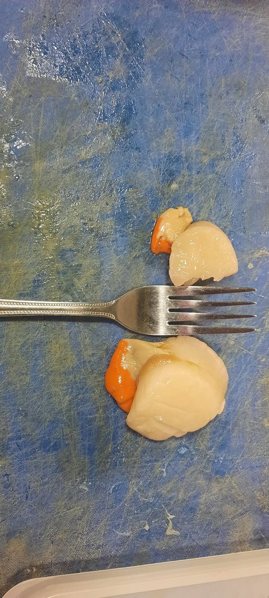 While we are not too busy we are playing around preparing final looks of some specials that you can look forward to trying this summer! <a href="/TheWitchball/">The Witchball</a> #cornwall #lizardpeninsula #goodpubfood