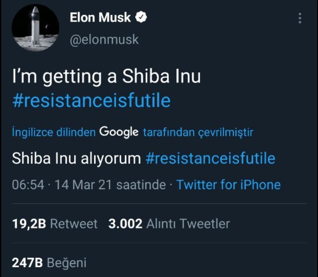 #ElonMusk zehirli verdi aklı olan alır şimdiden  #shiba