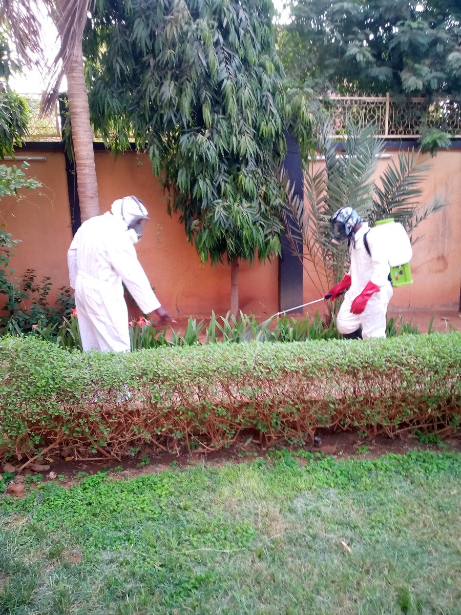 tsaptaservice's tweet photo. 1. #ESPACE_VERT A DIEU les moustiques et rongeurs qui perturbent votre merveilleux sommeil 🐜🐝🦗
Avec #Tsapta_Service DORMEZ PAISIBLEMENT🤗🤫😌
#L_unique_adresse
📲 99162656/93949267 https://t.co/mOkiREd80H