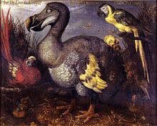 ExtinctAnimal's tweet image. The Dodo is an extinct flightless bird that was endemic to the island of Mauritius, east of Madagascar.