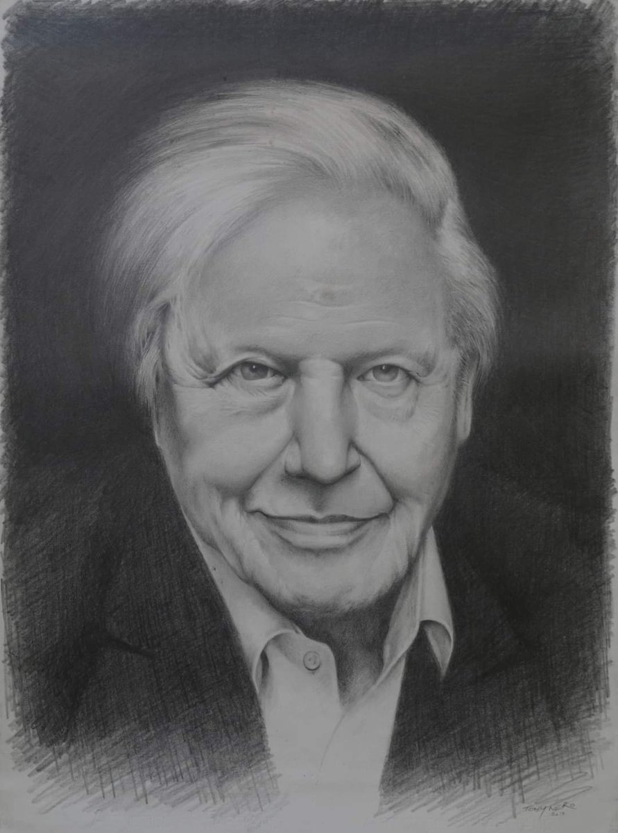 ArtofTonyNero's tweet photo. Happy 95th birthday Sir David Attenborough...#pencildrawing @davidattenburro #pencilmagic #portrait #drawing #artiswork https://t.co/yn3N720rUL
