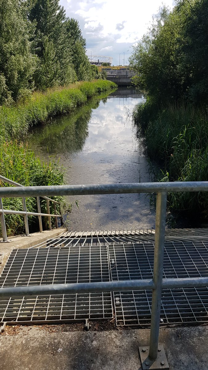 ⚠️💩Lea Valley Rainy Day Alert💩⚠️
The Olympic Park sewer is a frequent spiller, but is it discharging now?
And has today's rain been enough to see sewers along the Lea overflow?
Pressure Thames Water into telling us with live online alerts:
londonwaterkeeper.org.uk/the-river-lea-…