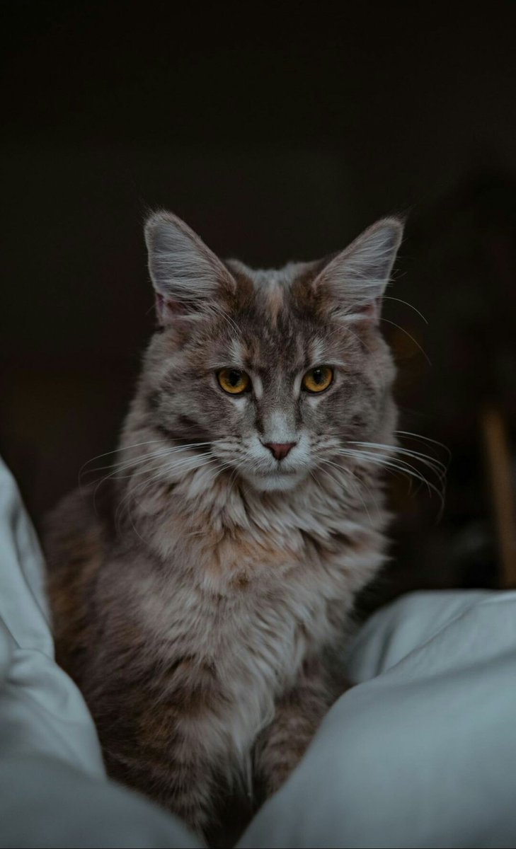 Bugün de böyle uyandık.