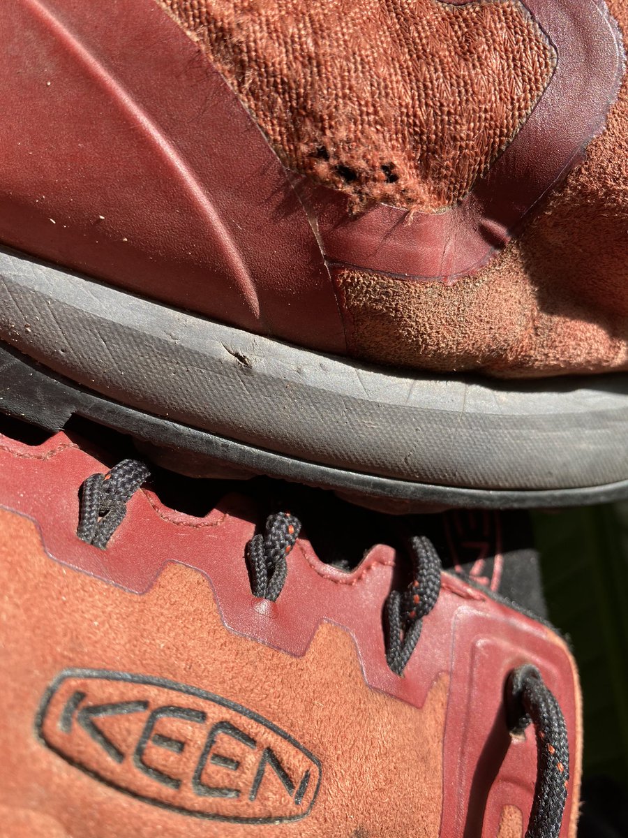 Why do <a href="/PaylessShoes/">Payless Shoes</a> shoes last 10X longer than #keen shoes, but cost 5X less &amp; are 5X more comfortable? 3 months