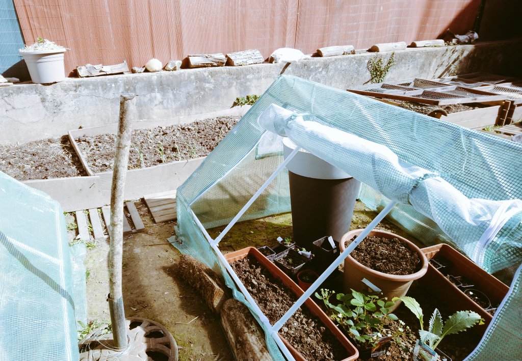 enlettresdimage's tweet photo. Un #potager amateur naissant
Belles #initiatives durant le confinement🌱
Le #jardinet se métamorphose sous #serres et révèle de timides promesses de #culture
Au futur menu : 🍓🍅
#innovation sociétale
#permaculture #potagerBio #faitmaison
[J'ai quitté la Ville pour la #Normandie] https://t.co/45em1WpjbY