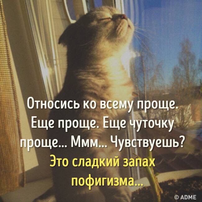 Просто ощущая ее просто. Просто ощущая ее просто. Цитаты для пофигистов. Цитаты для пофигистов. Просто ощущая ее просто.