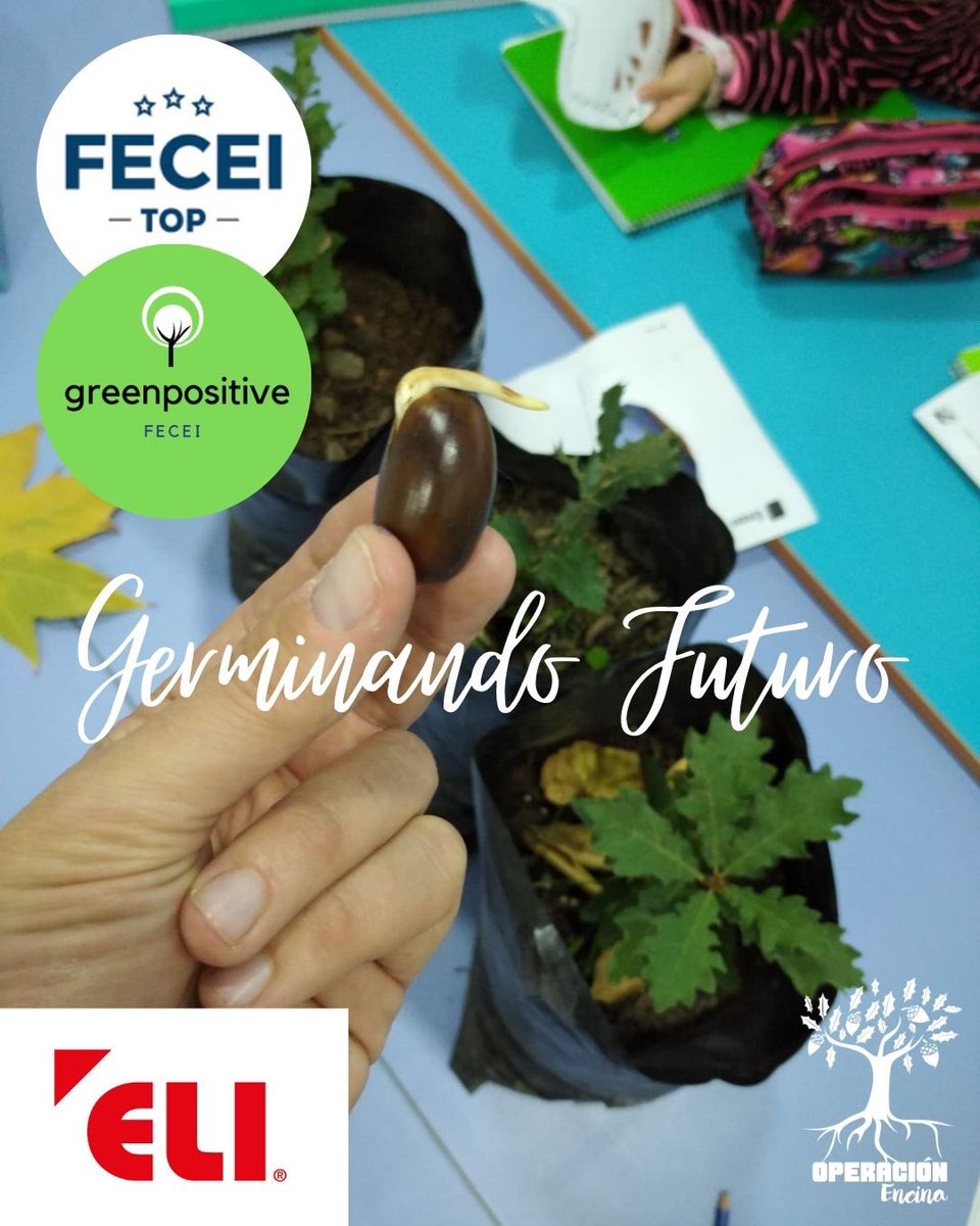 operacionencina's tweet photo. Nuestro ayto nos escuchó desde el primer día y convirtió un sueño en realidad que ahora es una #tradición . 
Desde hace unos años comenzamos a colaborar con Eli Huétor-Vega, y entonces nació la versión en #inglés del taller de reforestación #germinatingthefuture (2/4) 👇🏼 https://t.co/Mi9AeoXJU3