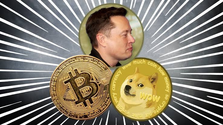 Dogecoin Fans tweet media