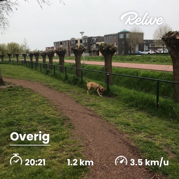 hard2get's tweet image. Bekijk Ochtendavontuur op @relivecc! #GetOutThere #ReliveGoals