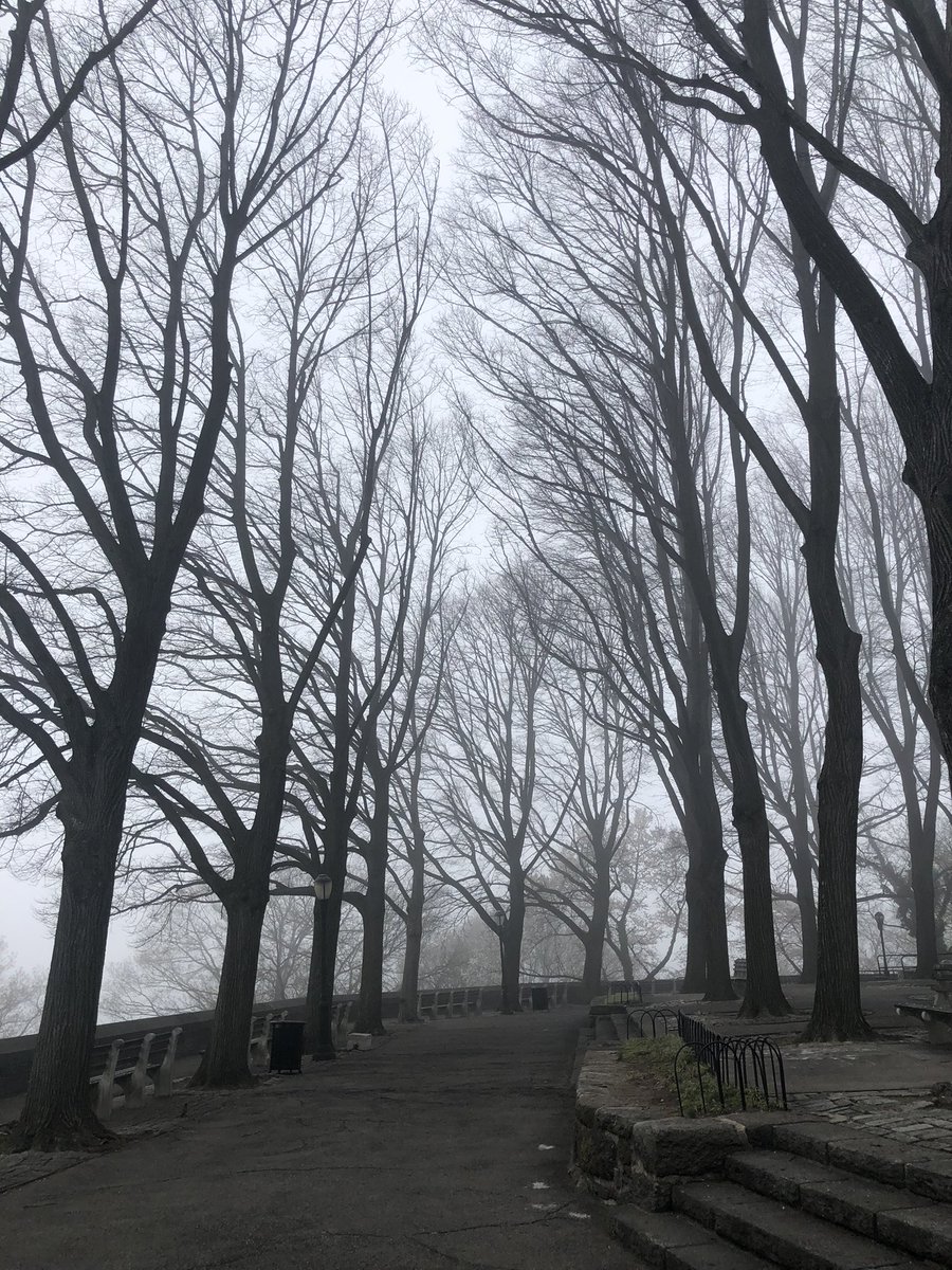 samkokoska's tweet photo. In case y’all were wondering what the trees are up to...

April 11 -> May 8 😤 https://t.co/yVoQqMbwxm